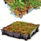 Sedum green roof system
