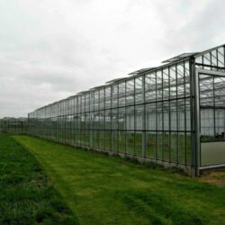 IMPEX® UVP polycarbonaat transparante dakplaten - Afbeelding 2