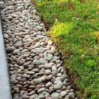 Sedum green roof system