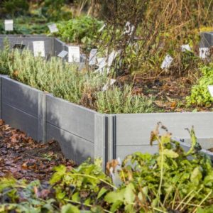 Vegetable box