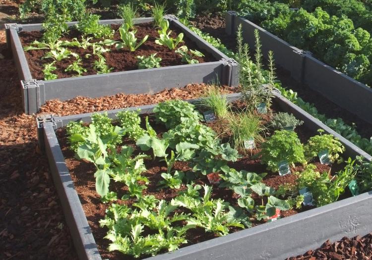 Moestuinbak Garden box - Kunststof BV