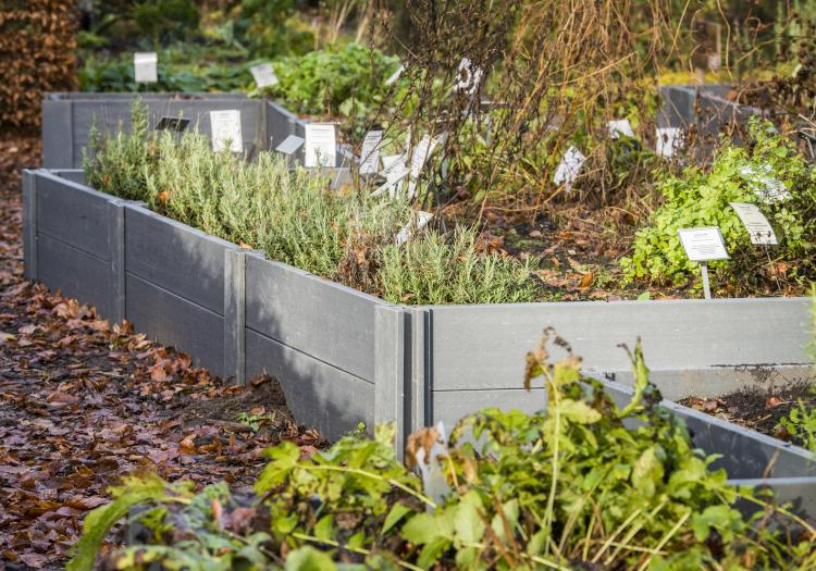 Moestuinbak Garden box - Kunststof BV