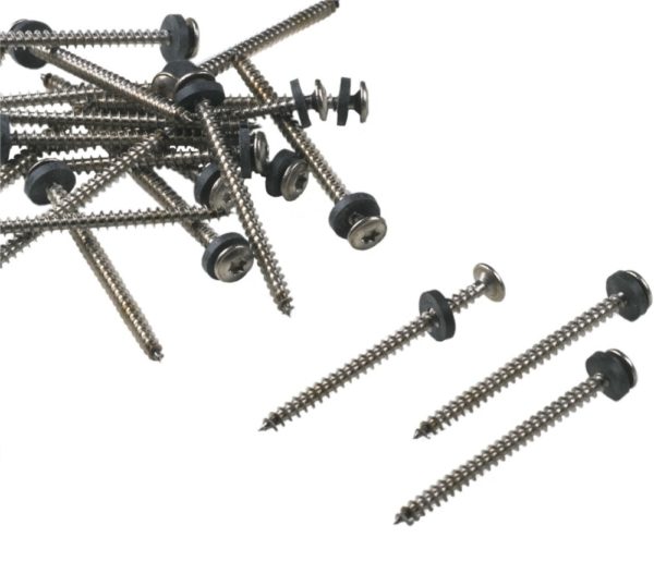 Stainless steel screws