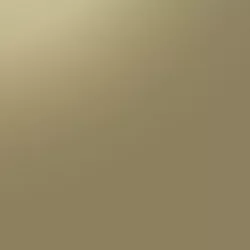 539 C2 Light Gold
